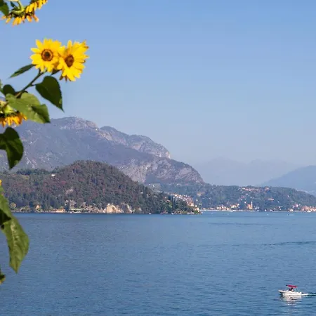 Sosta Sul Daire Lezzeno